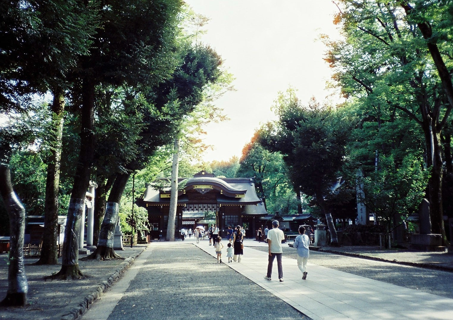 サンプルフィルム – TOHO STORE